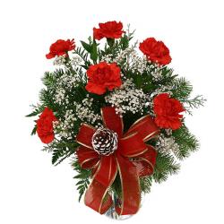 Carnations - Red Carnations Bouquet