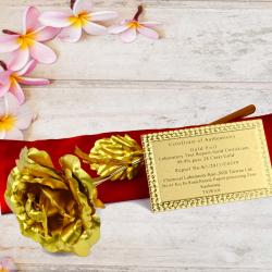 Anniversary Gifts for Family Members - Gold Plated Rose with Gift Box