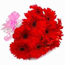 Gifts for Daughter - Ten Red Gerberas Bunch with Cellophane Packing