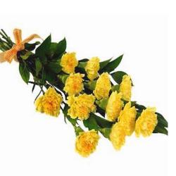 Send Yellow Carnation Bouquet To Bathinda