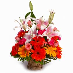 Congratulations Flower - Flowers Magesty Arrangement