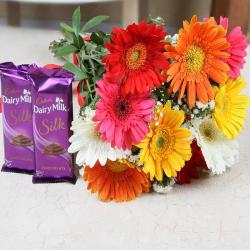 Anniversary Flowers - Colourful Gerberas with Cadbury Dairy Silk Chocolate