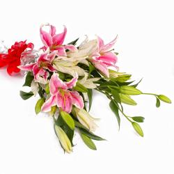 Send Dozen Mix White and Pink Lilies Hand Bunch To Trivandrum