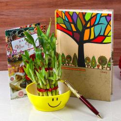 New Year Green Gifts - Good luck Wishes For New Year