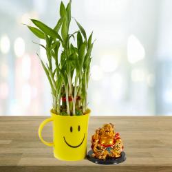 Good Luck Gifts for New Job - Laughing Buddha with Good Luck Bamboo Plant in a Smiley Mug