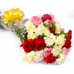 Send Colorful Twenty Five Carnation Hand Tied Bunch To Shimoga