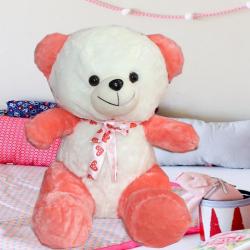 Soft Toy Hampers - Fluffy and Soft Teddy