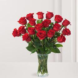 Sports Wear - Two dozen Red Roses in vase