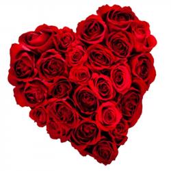 Valentine Heart Shaped Rose Arrangements - True Heart with Pure Feelings