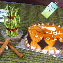 Mothers Day Gifts to Bhubaneshwar - Good luck Plant For Mothers day and Butterscotch Cake