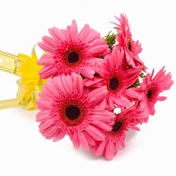 Send Six Pink Gerberas with Cellophane Wrapping To Mysore