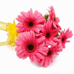 Send Six Pink Gerberas with Cellophane Wrapping To Phagwara