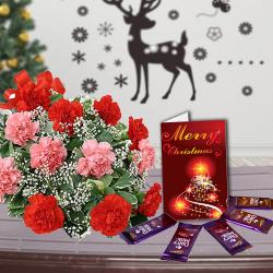 Christmas Flowers - Carnation Bouquet with Cadbury Dairy Milk Chocolates and Greeting Card Combo