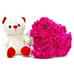 Soft Toy Combos - Fifteen Pink Carnations Bunch with Cuddly Bear