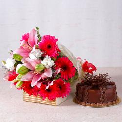 Womens Day Express Gifts Delivery - Pink Lilies and Gerberas Bouquet with Chocolate Cake