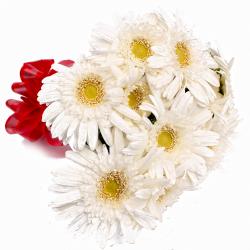 Gifts for Husband - Ten White Gerberas with Tissue Wrapping