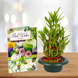 Feng Shui Gifts - Best Wishes Card with Bamboo Plant