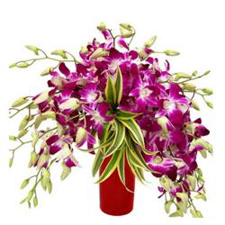 Vase Arrangement Of 10 Orchids