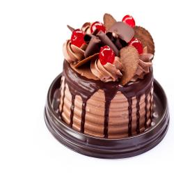 Half Kg Cakes - Small Chocolate Cake