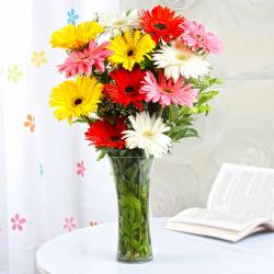 Gerberas - Mix Gerberas in a Glass Vase