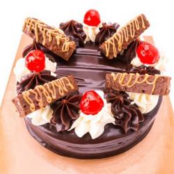 Send One Kg Perk Chocolate Cake To Jaipur
