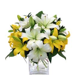 Gudi Padwa Ugadi - Lilies Lover Special