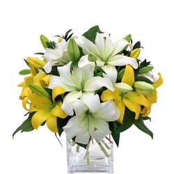 House Warming Flowers - Lilies Lover Special