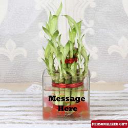 Valentine Lucky Bamboo Plants - Customized Glass Vase