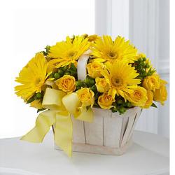 Basket Arrangement - Dazzling Yellow Flower Arrangement
