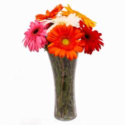 Gifts for Employees - Six Stem of Diffrent Colored Gerberas in Vase