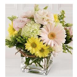 Send Pink and Yellow Mix Flowers in Vase To Vasai