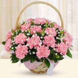 Birthday Gifts for New Born - Basket of Pink Carnations