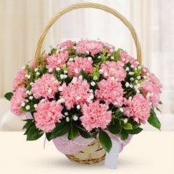 Baby Shower Gifts for Girl - Basket of Pink Carnations