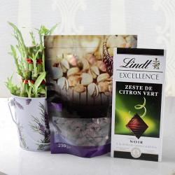 Chocolates for Him - Chocolates and Good Luck Plant Combo