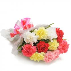 Valentines Day Gift of Colorful Carnation