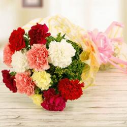 Send Bouquet Full of Carnations To Noida