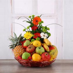 Anniversary Trending Gifts - Gerberas Arrangement with Assorted Fresh Fruits