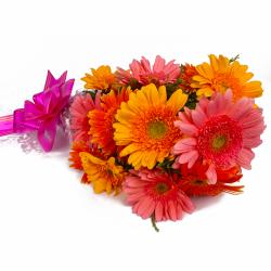 Gifts for Boss - Twelve Pink and Yellow Gerberas Hand Tied Bunch