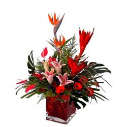 Valentine Exotic Flower Arrangements - Twenty Five Exotic Flowers for Love