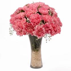 Twenty Pink Carnations in Glass Vase