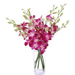 Navratri  - Gorgeous Orchids  Vase