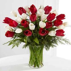 Exotic Flowers Arrangement - Red With White Flower Vase