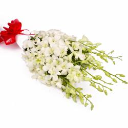 Condolence Gifts for Coworkers - Exotic 10 White Orchids in Tissue Paper Wrapped