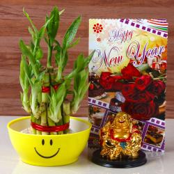 New Year Green Gifts - New Year Goodluck Wish Combo