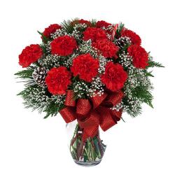 Sorry Flowers - Popular Red Carnations Vase