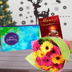 Send Christmas Gift Mix Gerberas Bouquet with Cadbury Celebrations Chocolate and Christmas Card To Surat