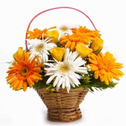 Send Brighten Basket of Yellow and White Gerberas with Yellow Roses To Mahe
