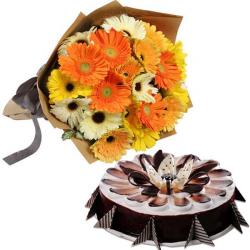 Retirement Gifts - Bright full Gerberas With Chocolate Cake