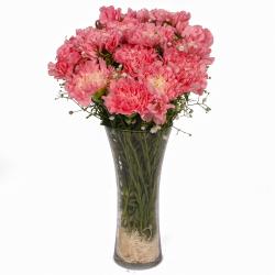 Get Well Soon Flowers - Fifteen Pink Carnations in Glass Vase