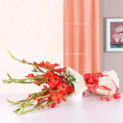 Gladiolus - Red Glads Bouquet Nicely Wrapped